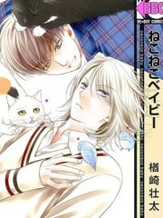 猫咪宝贝