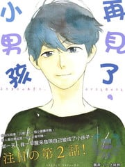 再见了 小男孩