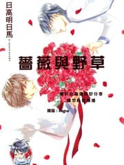 蔷薇与野草